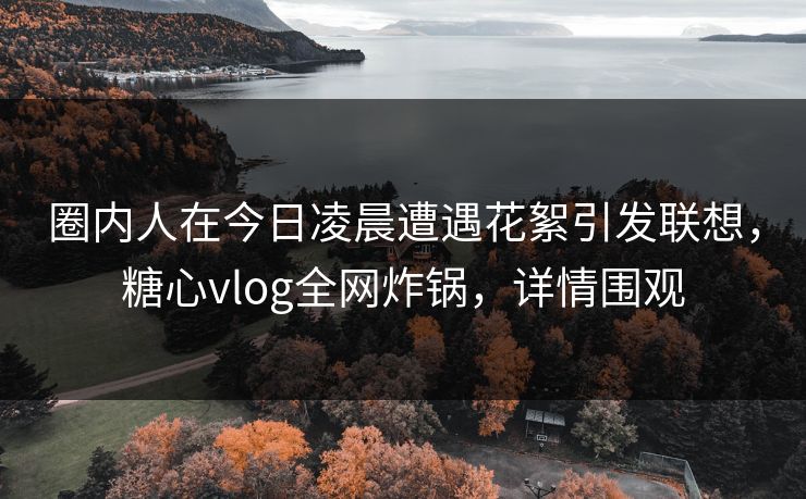 圈内人在今日凌晨遭遇花絮引发联想，糖心vlog全网炸锅，详情围观