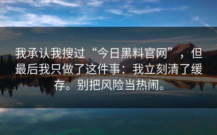 我承认我搜过“今日黑料官网”，但最后我只做了这件事：我立刻清了缓存。别把风险当热闹。